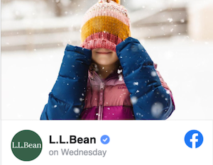 L.L.Bean Facebook Import